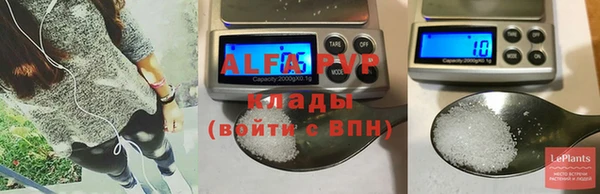 твердый Ладушкин