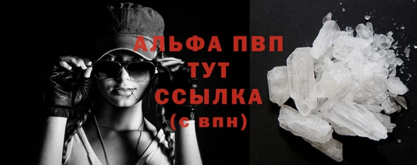 твердый Ладушкин