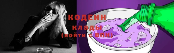 твердый Ладушкин